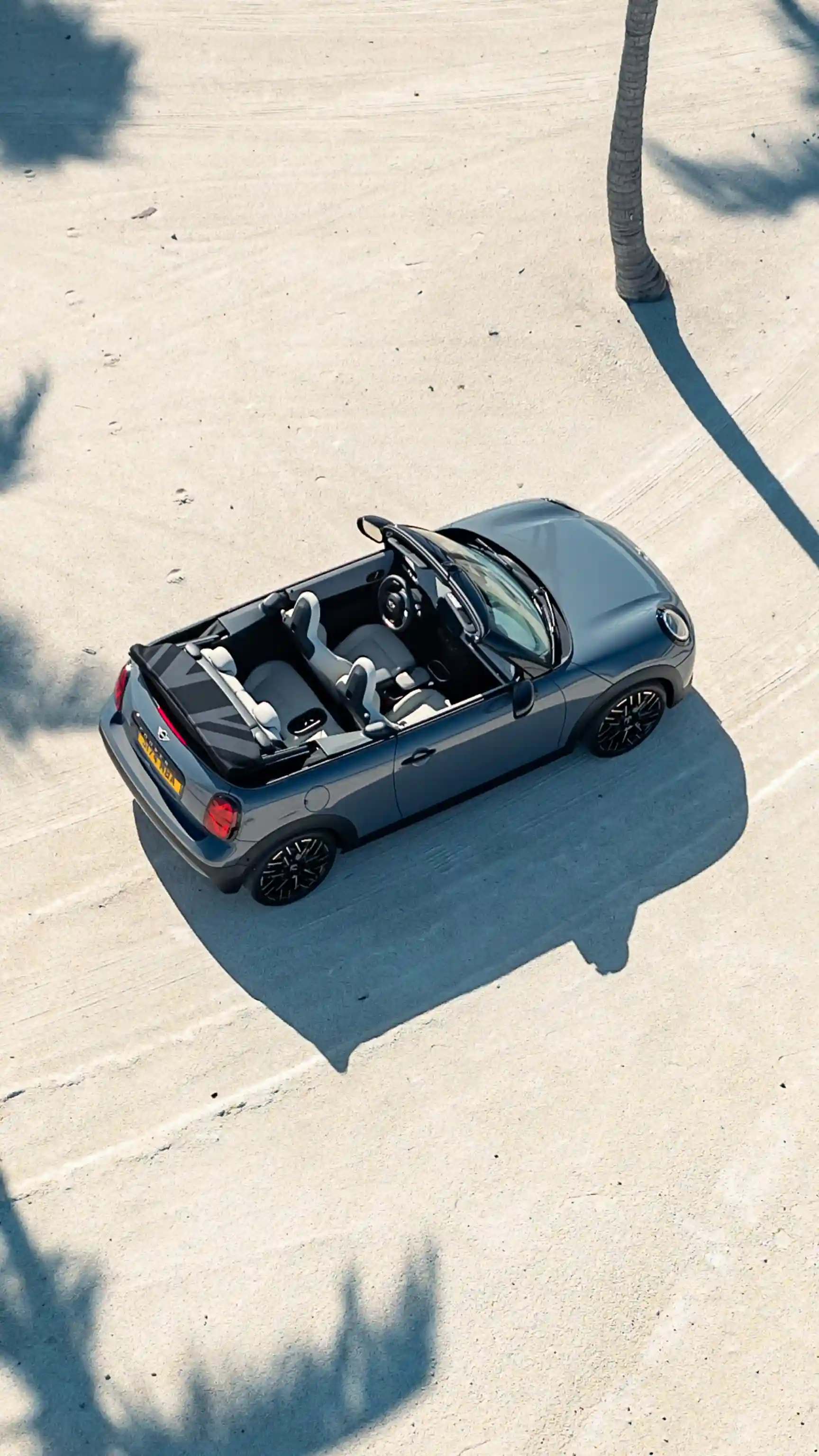 MINI Cooper Cabrio - палми